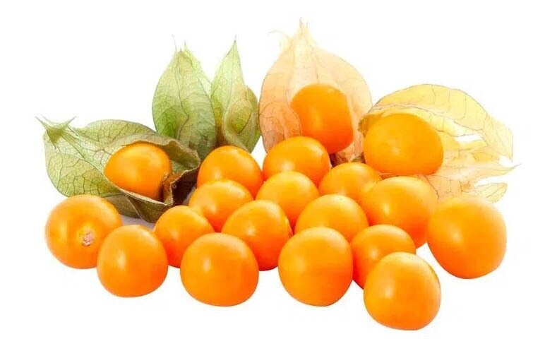 UCHUVA Physalis Peruviana