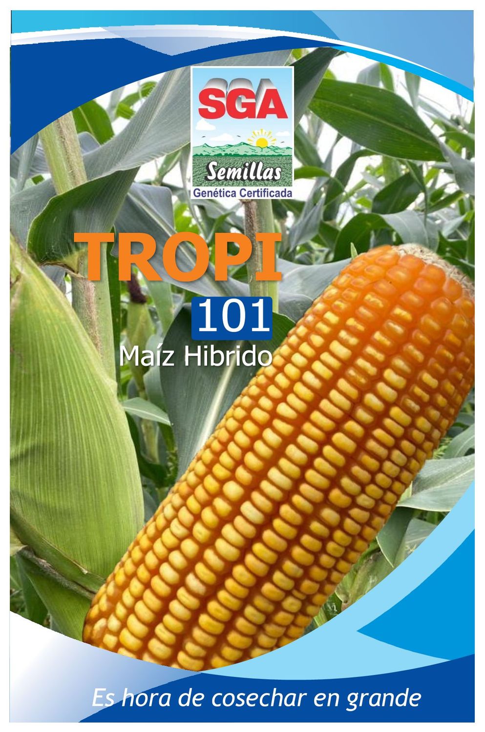 MAIZ AMARILLO HYB TROPI-101