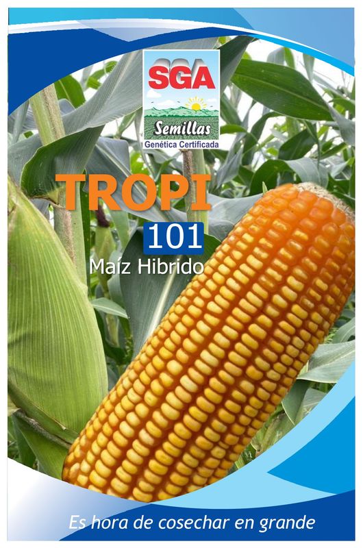 MAIZ AMARILLO HYB TROPI-101
