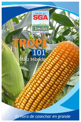 MAIZ AMARILLO HYB TROPI-101