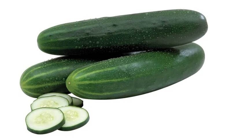 PEPINO HYB. EM CHOICE F-1