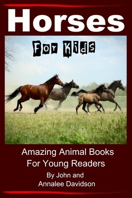 10 Horse Books for Kids