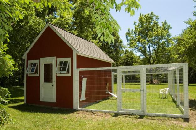 G488 10 x 14 x 8 Garden Shed / Chicken Coop / Playhouse / Bunkhouse