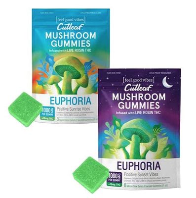 Euphoria Mushroom Gummy