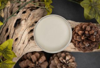 Dixie Belle Dried Sage CMP