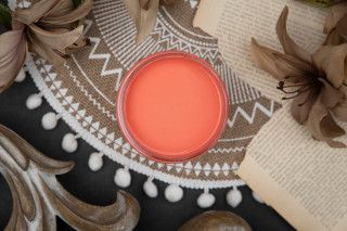 Dixie Belle Flamingo CMP