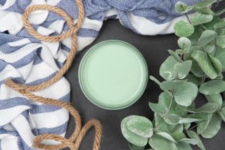 Dixie Belle Mint Julep CMP