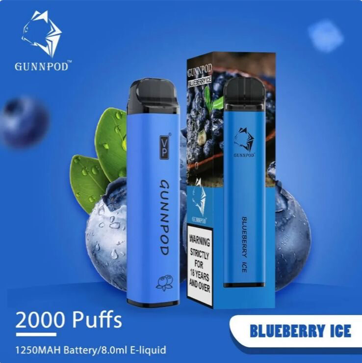 GUNNPOD - Blueberry Ice 
