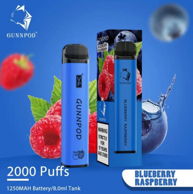 GUNNPOD - Blueberry Raspberry 