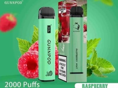 Top Trending Vape Flavours: From Mint Ice to Raspberry Tea
