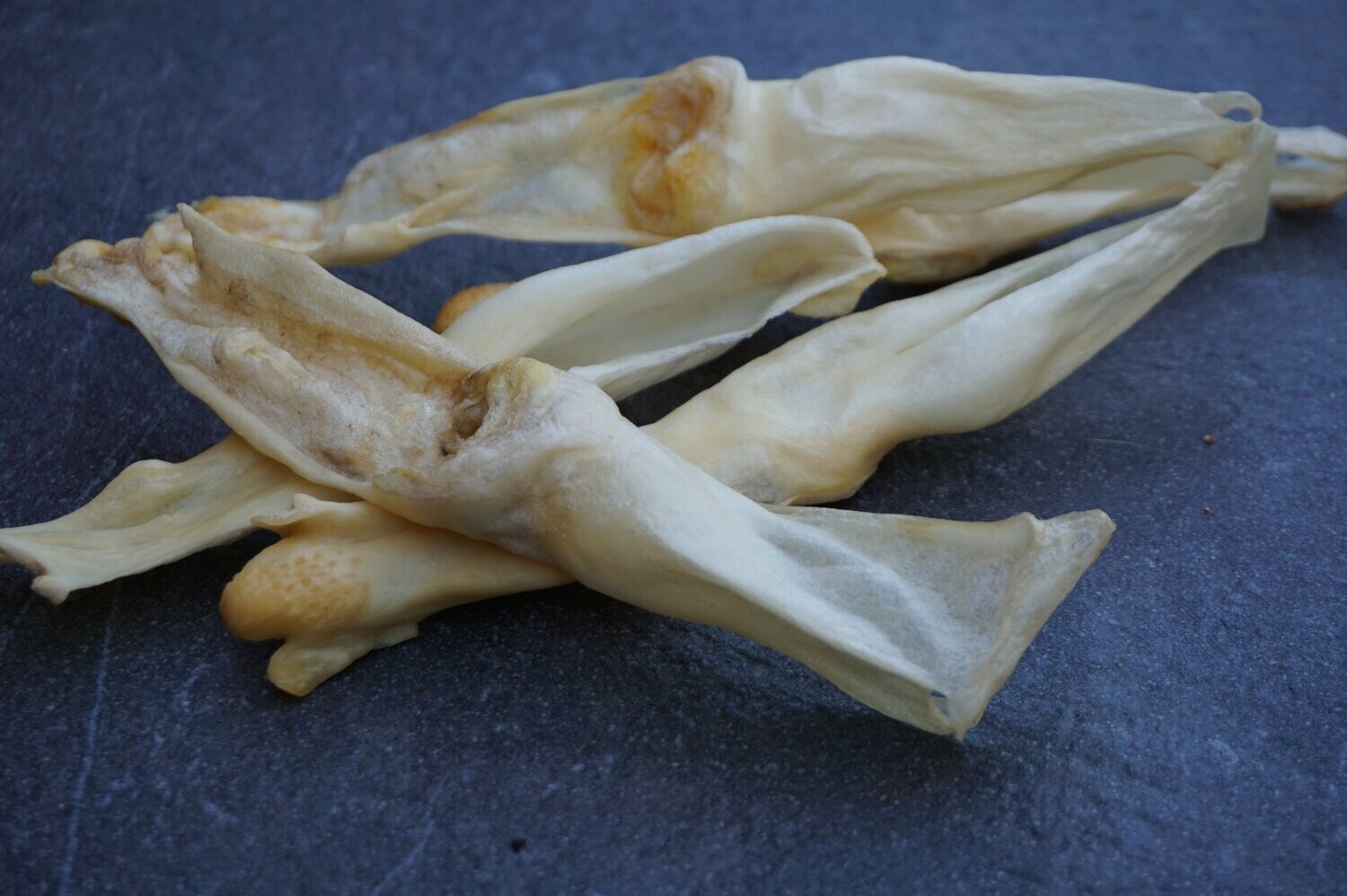 Oreja de conejo