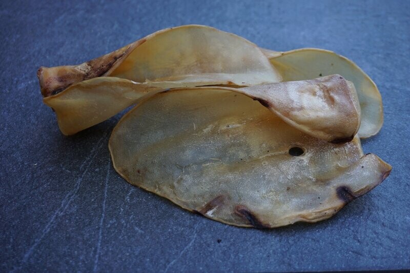 Oreja de ternera
