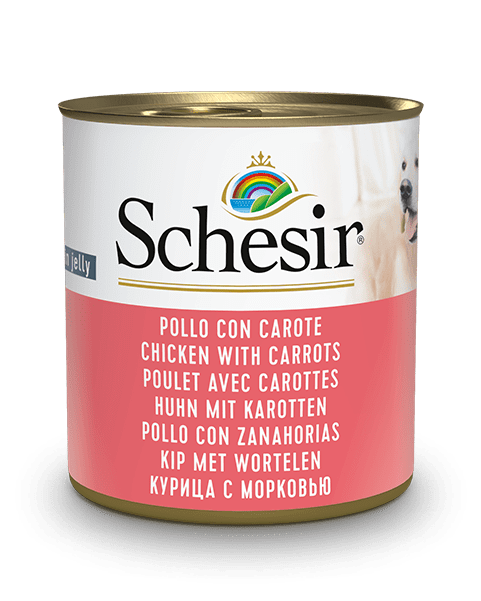 Pollo con zanahorias lata 285 g