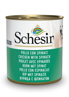 Pollo con Espinacas 285 gr