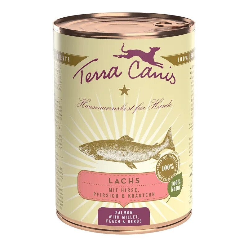 Salmón con mijo, melocotón y hierbas