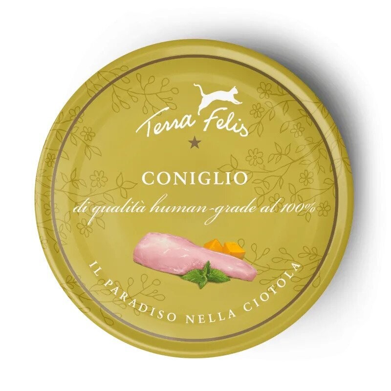 TF Conejo