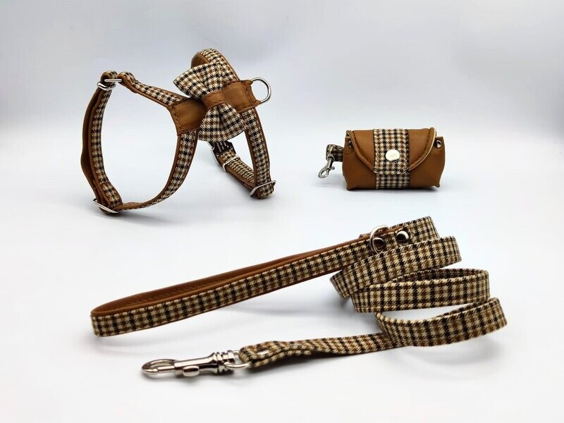 Conjunto Lemos Dugan