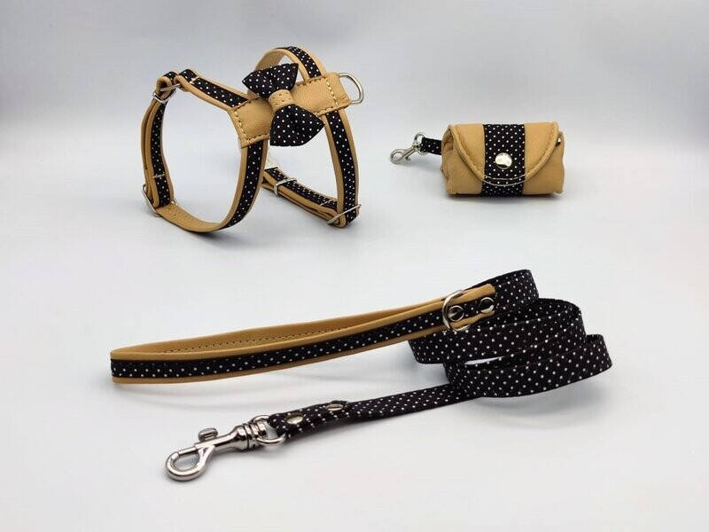 Conjunto Moya Montijo