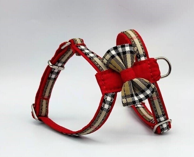 Arnes Artesanal Harry Red