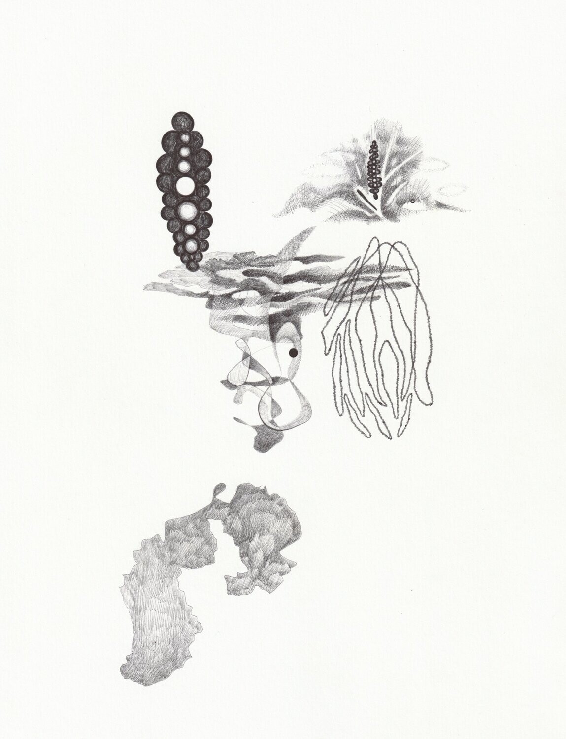 december #5