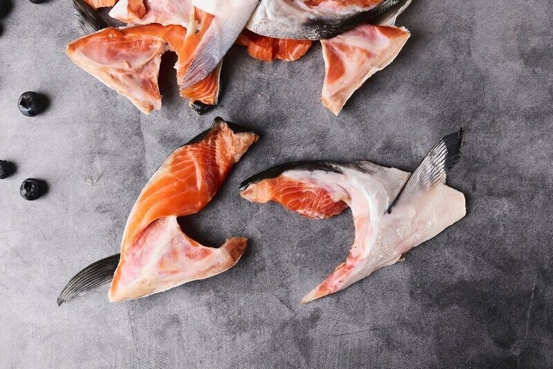 Wild Alaskan Salmon Collars