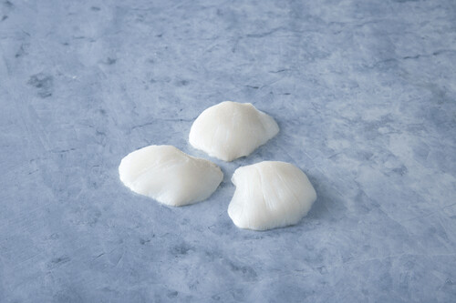 Wild Alaskan Halibut Cheeks