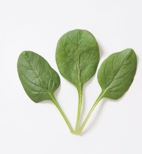 Spinach Spinach