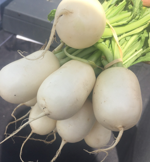 Turnips, Baby Salad