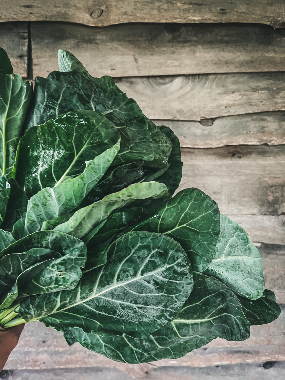 Collard Bunched