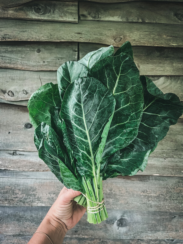Collard Bunched