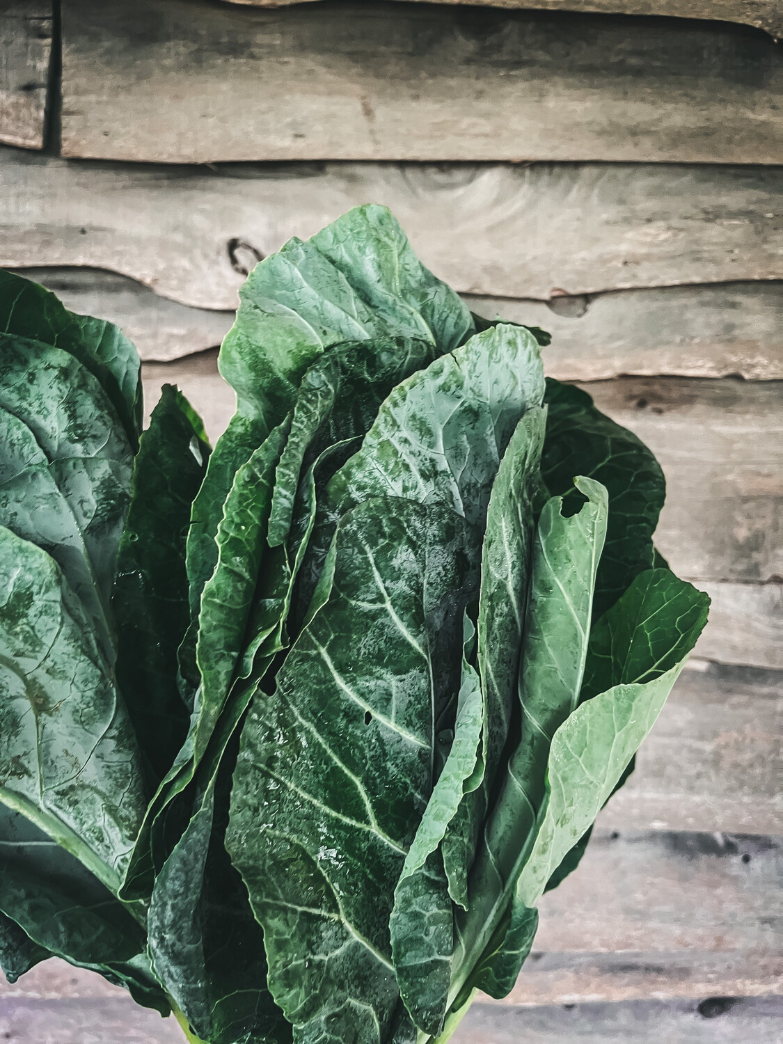 Collard Bunched