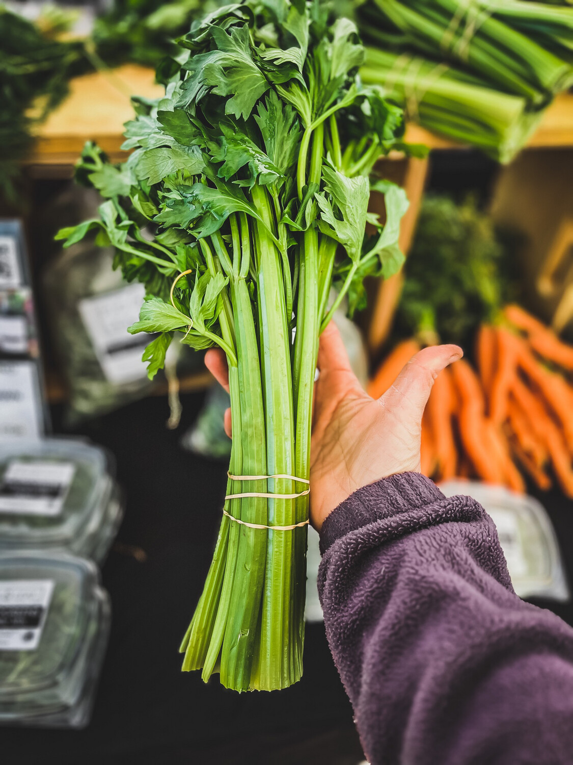 Celery