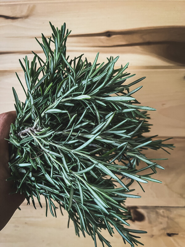 Herbs, Rosemary