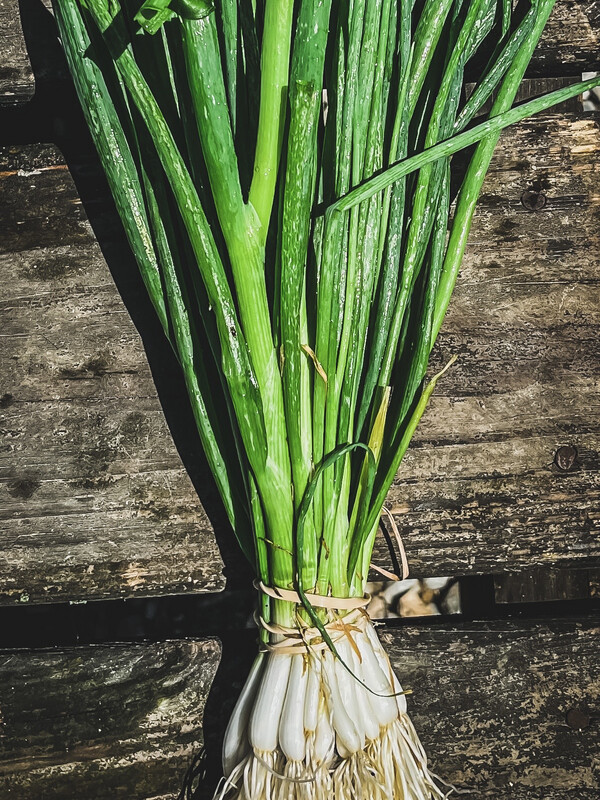 Onions green (scallions)