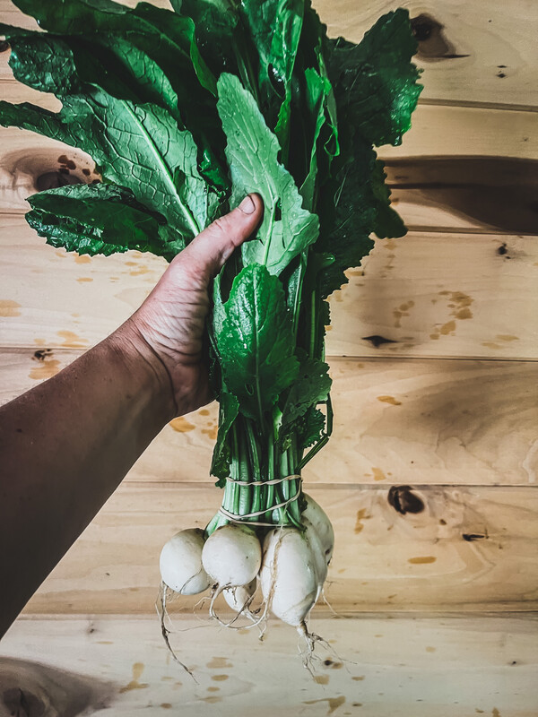 Turnips, Baby Salad