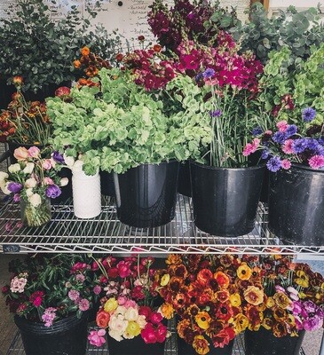 Wholesale to Florists