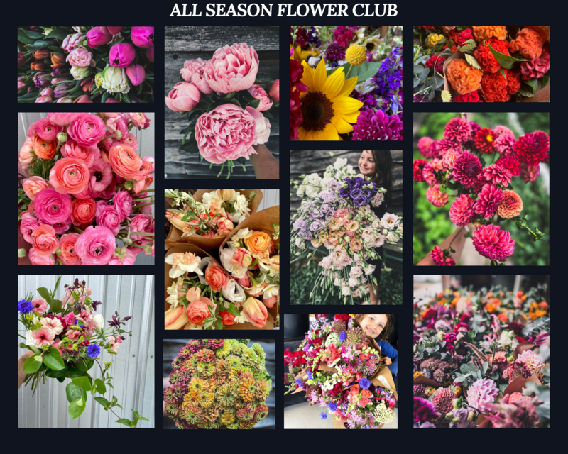 All Season Flower Club (CSA) All Season Flower Club (CSA)