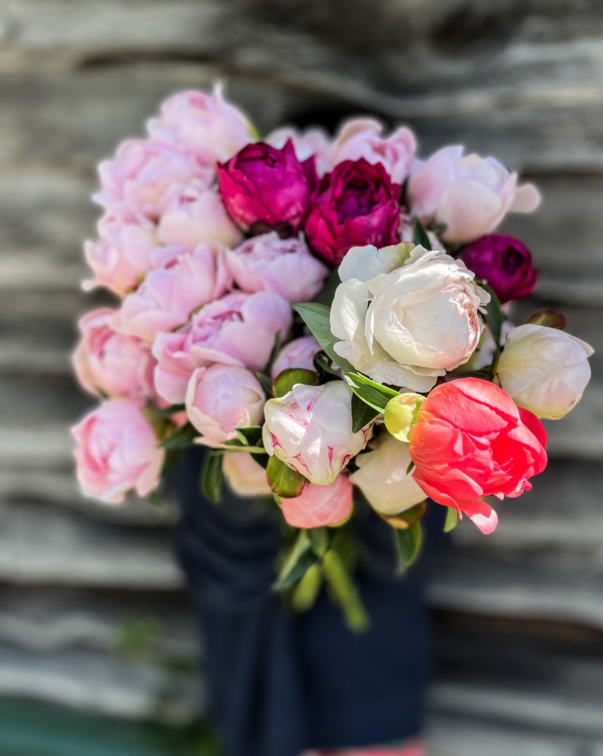 Peonies by the Bucket