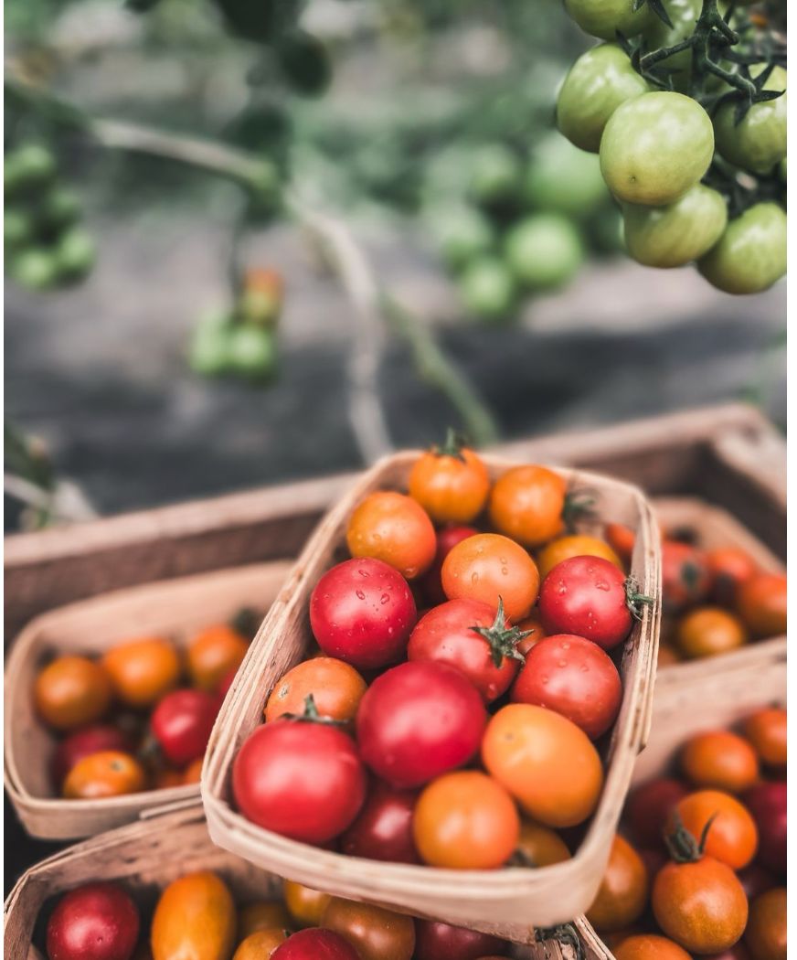 Tomatoes, Cherry