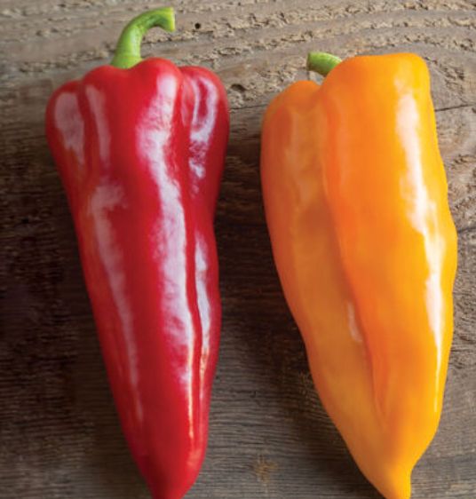 Peppers Corno di Toro