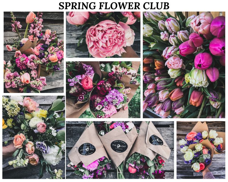 Spring Flower Club (CSA)