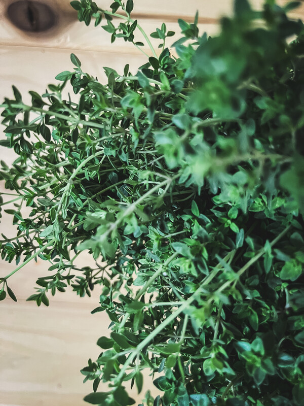 Herbs, Thyme
