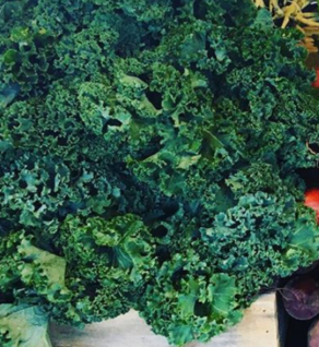 Kale, Winterbor Kale, Winterbor