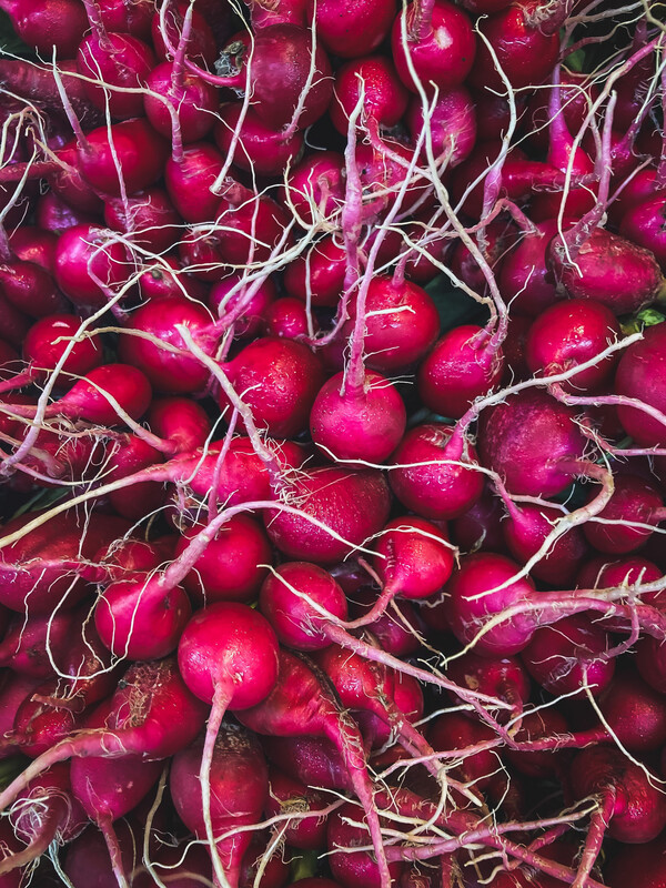 Radish Red