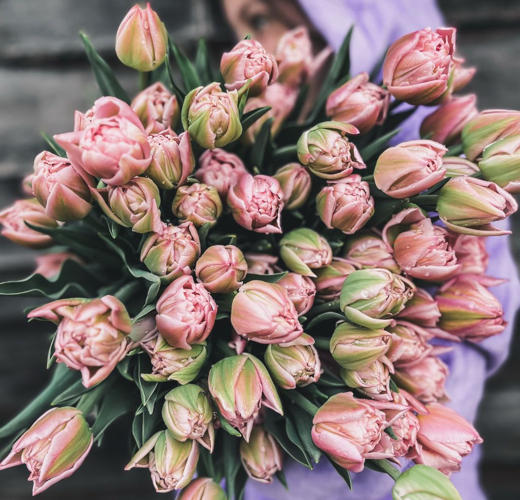 Valentine's Day Bouquet Pre-Order