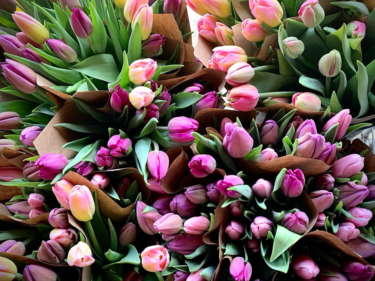 Valentine's Day Bouquet Pre-Order