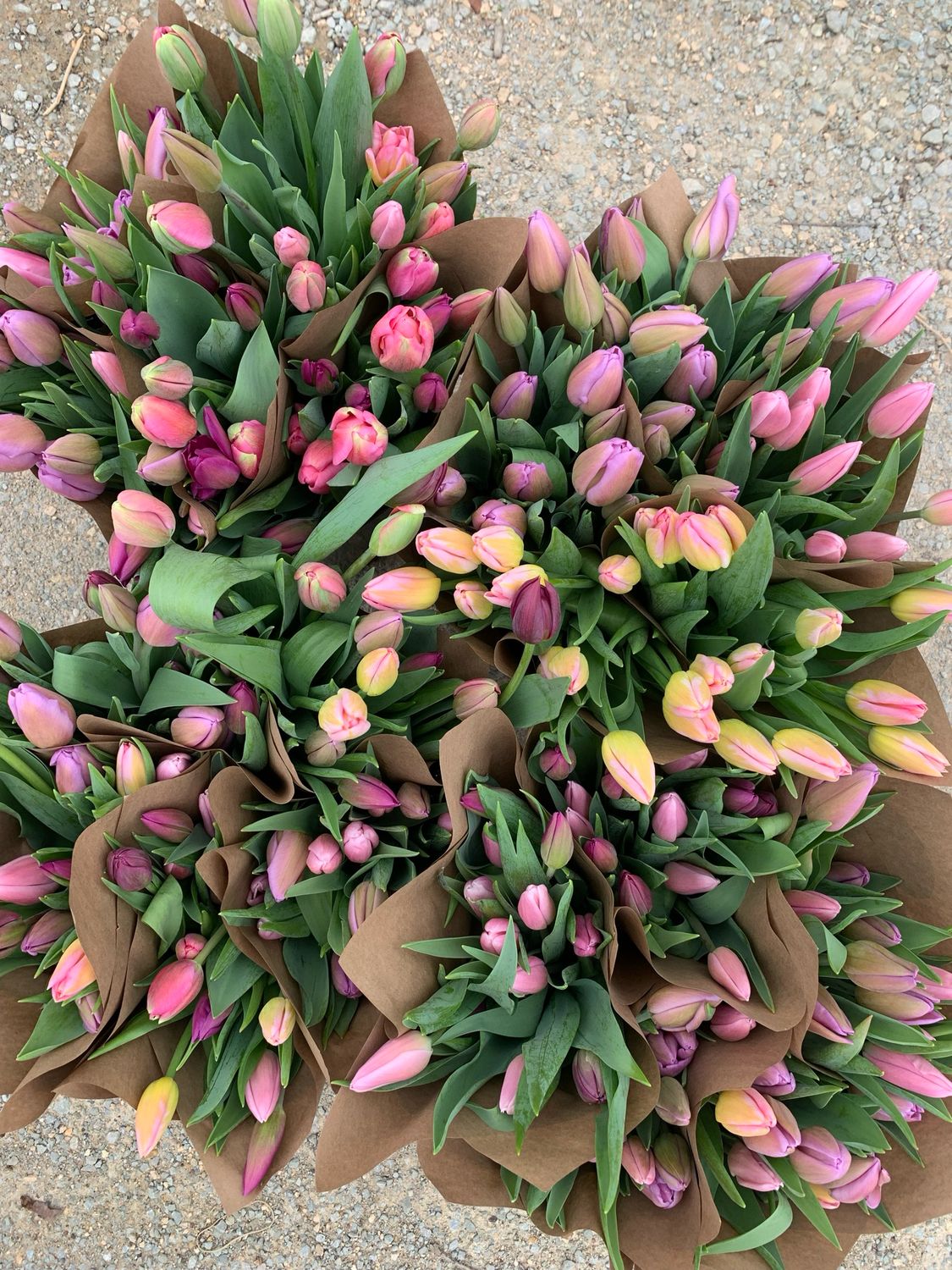 Valentine's Day Bouquet Pre-Order