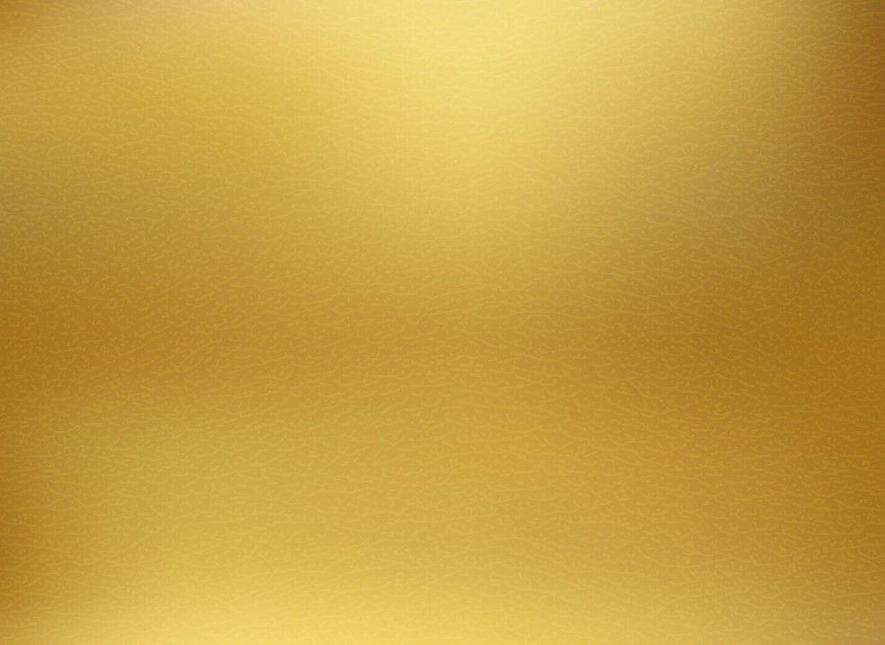 Gold Sponsor