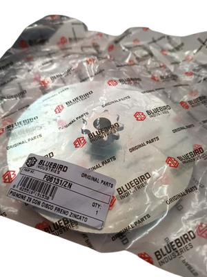 Pignone Z9 con Disco Freno Zincato – Originale Blue Bird