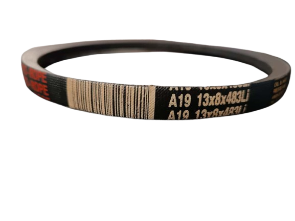 Cinghia A19 13x8x483Li FM750 – Originale Blue Bird